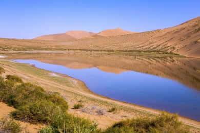 中国内蒙古巴丹吉林沙漠腹地的镜湖和湖边的植物
