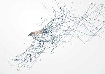 飞翔的老鹰、点线面结合的矢量动物图片、鸟类图片。