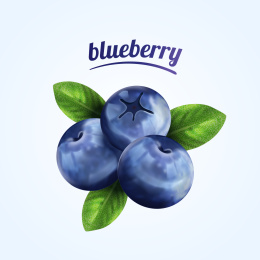 插画风蓝莓图片素材