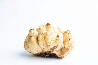 新鲜白百合鳞茎 百合肉