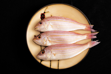 冰鲜海产红衫鱼 红衫鱼