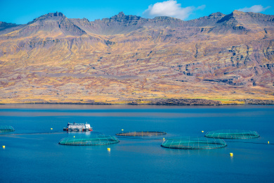 沿海海湾中正在撒网捕鱼的现代海洋渔业渔船