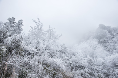 冬天下雪的张家界风光