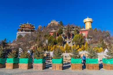 云南迪庆香格里拉独克宗古城龟山公园