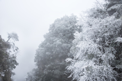 冬天下雪的张家界风光