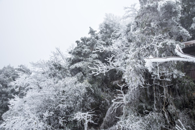 冬天下雪的张家界风光
