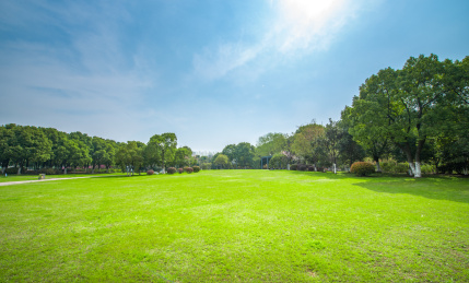 江苏省南京市银杏湖公园平坦大道景观
