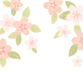 盛开的樱花插画