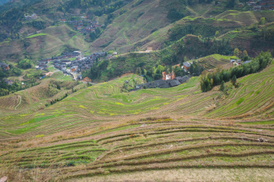 广西龙胜龙脊梯田风光