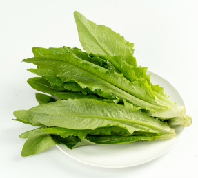 火锅食材油麦菜 中国
