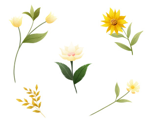 手绘小清新植物小花插图