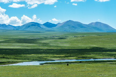 蓝天白云下的草原山脉和高原牧场,中国西藏
