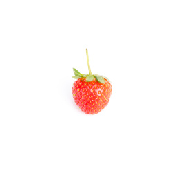 红色的草莓在白色的背景上