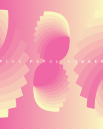 粉色花瓣数字海报