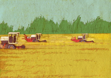 农业产量大丰收