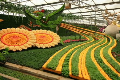 寿光菜博会景观 中国