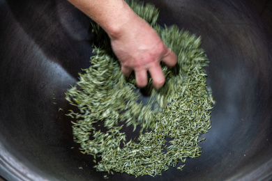 四川成都手工炒茶 中国