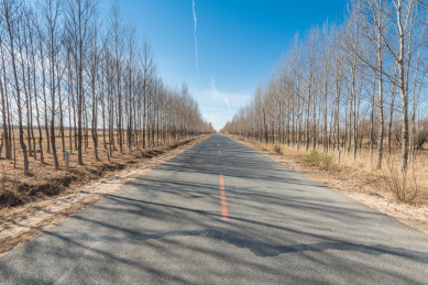 中国内蒙古通辽的树林道路