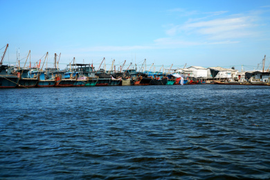 渔港蓝色捕鱼船 渔船