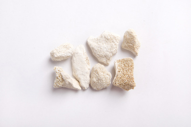 白色背景中药材特写 —  煅龙骨