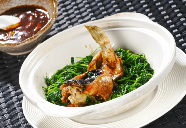 秧草红烧（奶汤）河豚鱼