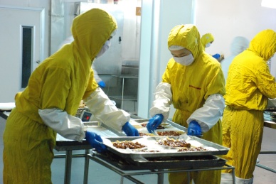 熟食生产线的工人 工人