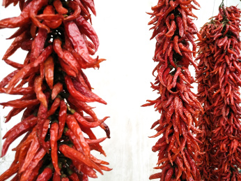 一串串的红辣椒