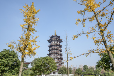 安徽省蒙城县万佛塔景点风光_站酷海洛_正版图片_视频_字体_音乐素材