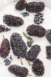 新鲜美味的桑葚