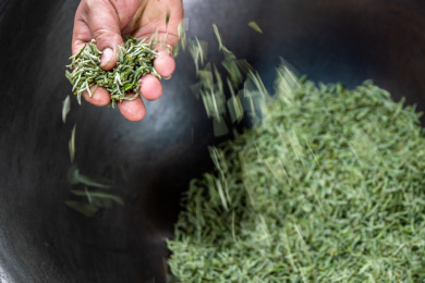 成都浦江传统炒茶