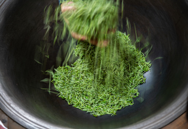 成都浦江传统炒茶
