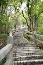 广州白云山摩星岭楼梯