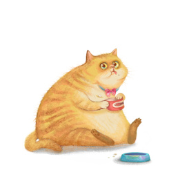 肥橘猫贪吃猫粮