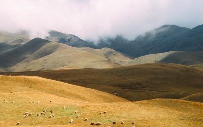 云南省会泽大海草山风景
