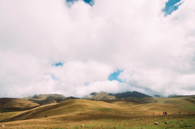 云南省会泽大海草山风景