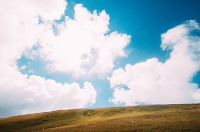 云南省会泽大海草山风景