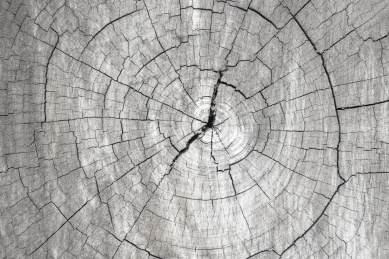 木纹底纹背景图片