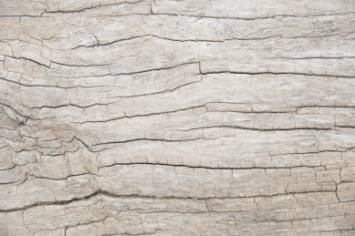 木纹底纹背景图片