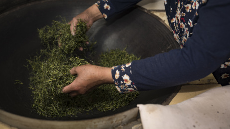 碧螺春茶叶制作