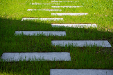 户外公园绿色草坪上的石砖走道