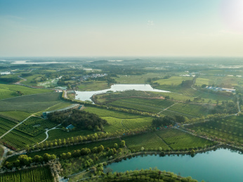 茶园航拍，南昌凤凰沟茶园