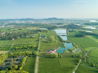 茶园航拍，南昌凤凰沟茶园