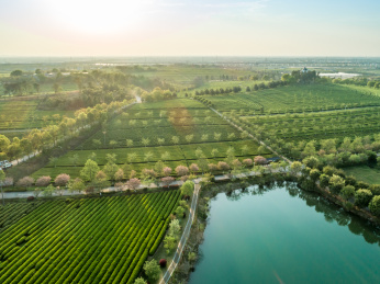 茶园航拍，南昌凤凰沟茶园