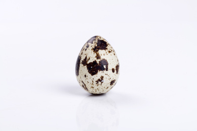 营养丰富的鹌鹑蛋