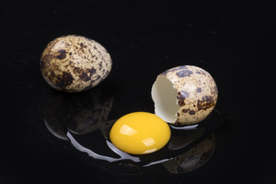 营养丰富的鹌鹑蛋