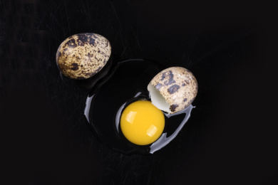 营养丰富的鹌鹑蛋