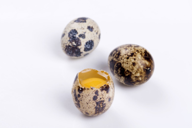 营养丰富的鹌鹑蛋