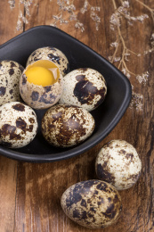 营养丰富的鹌鹑蛋