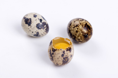 营养丰富的鹌鹑蛋