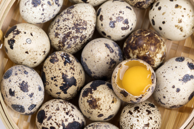 营养丰富的鹌鹑蛋